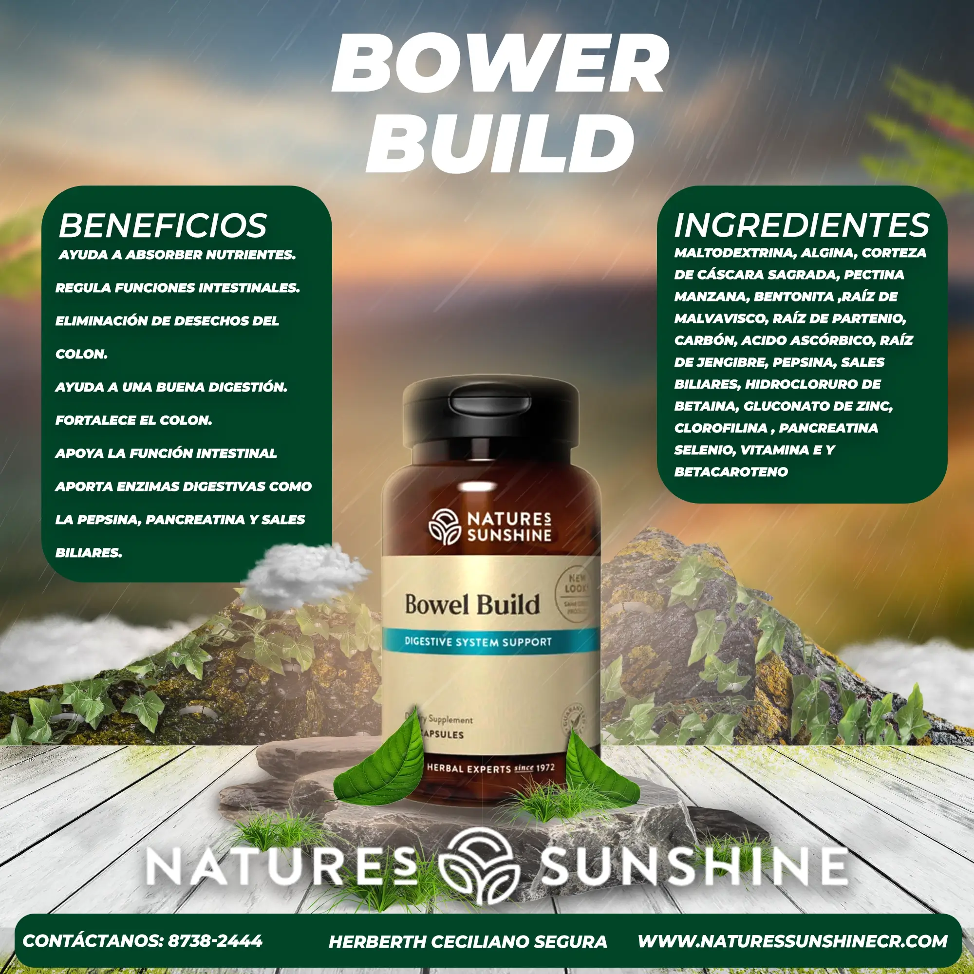 Bowel Build - Image 2