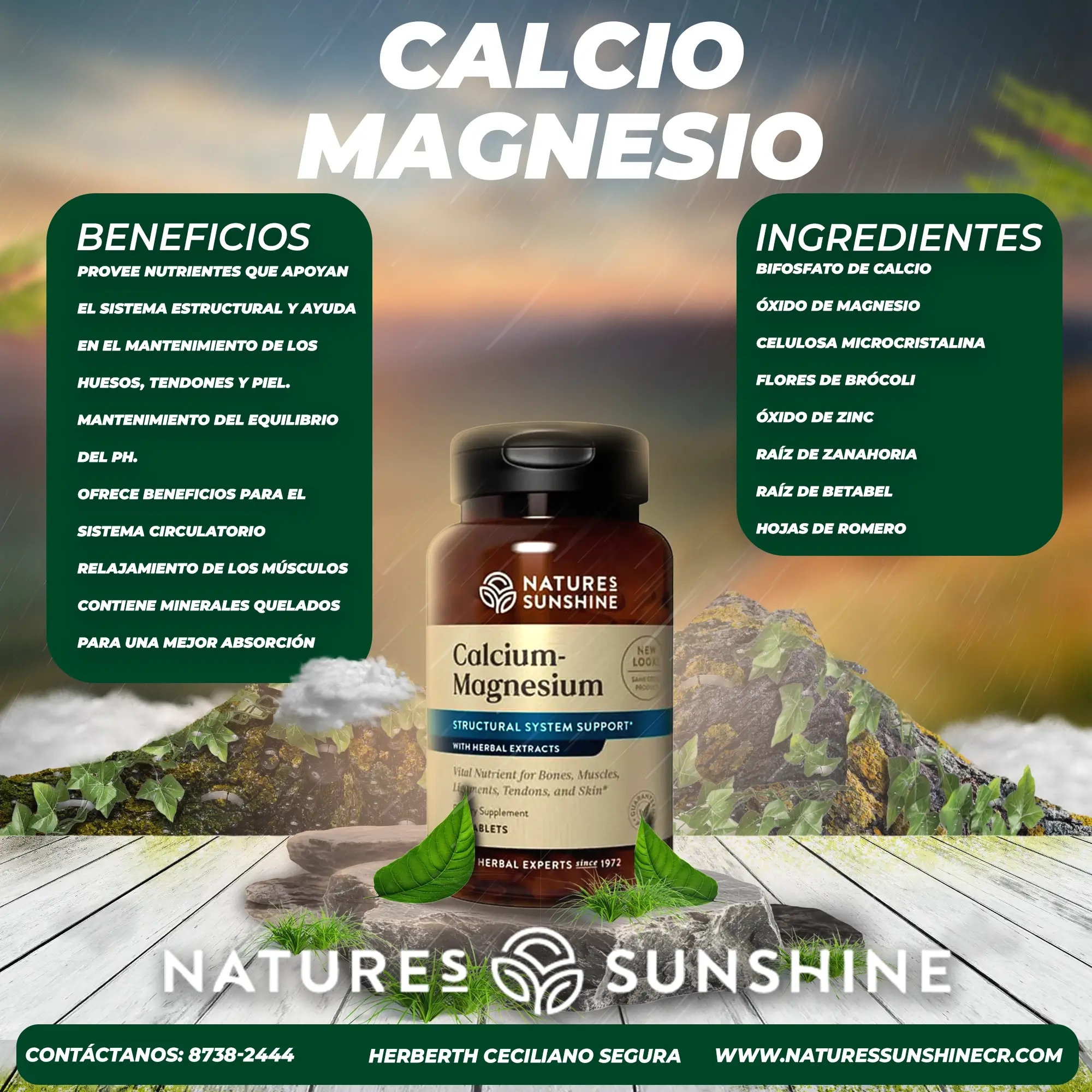 Calcium-Magnesium - Image 2