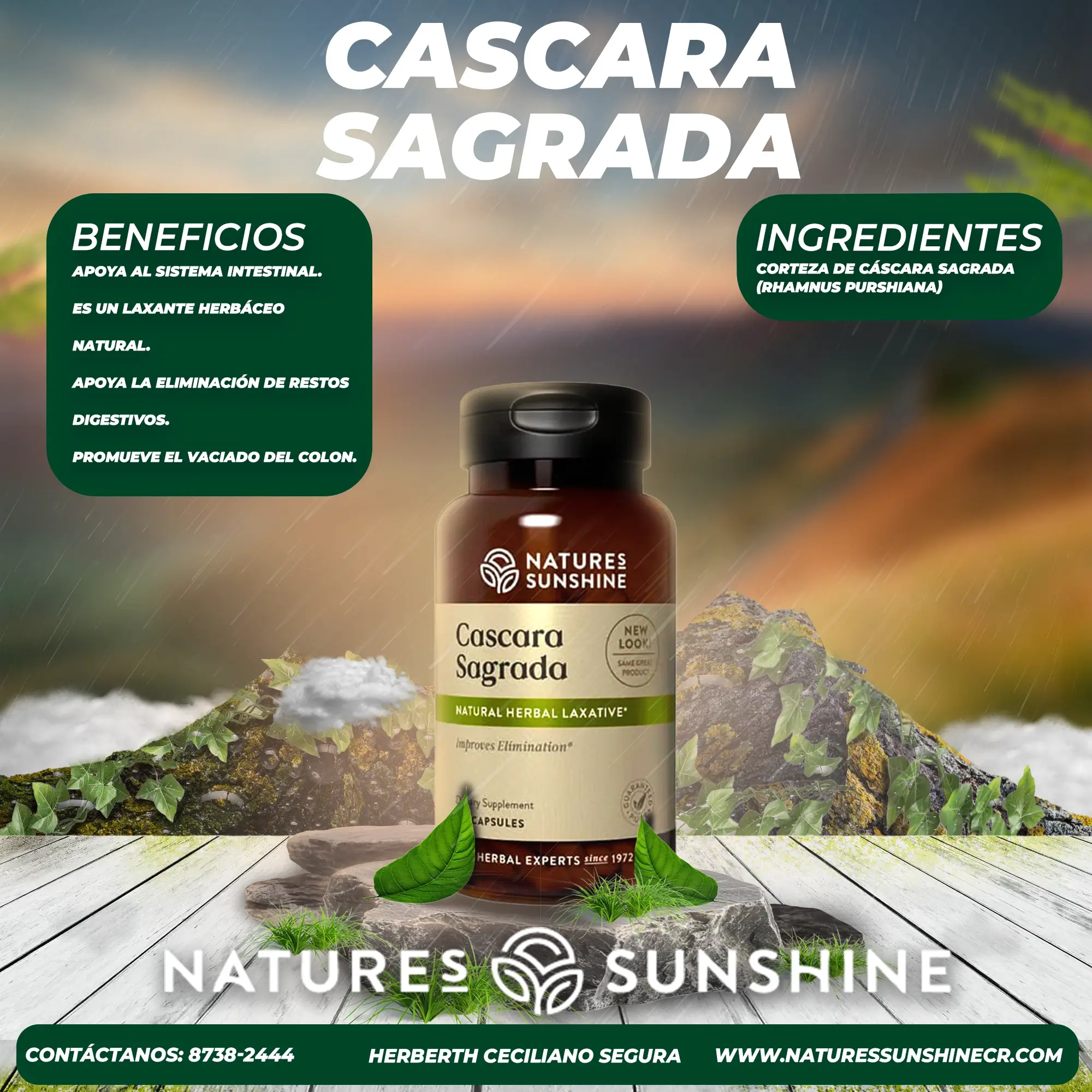 Cáscara Sagrada - Image 2