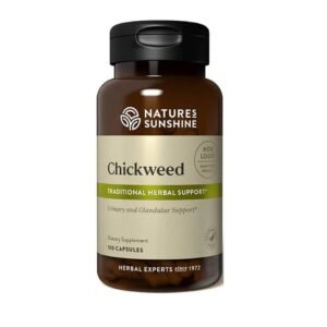 Chickweed Pamplina