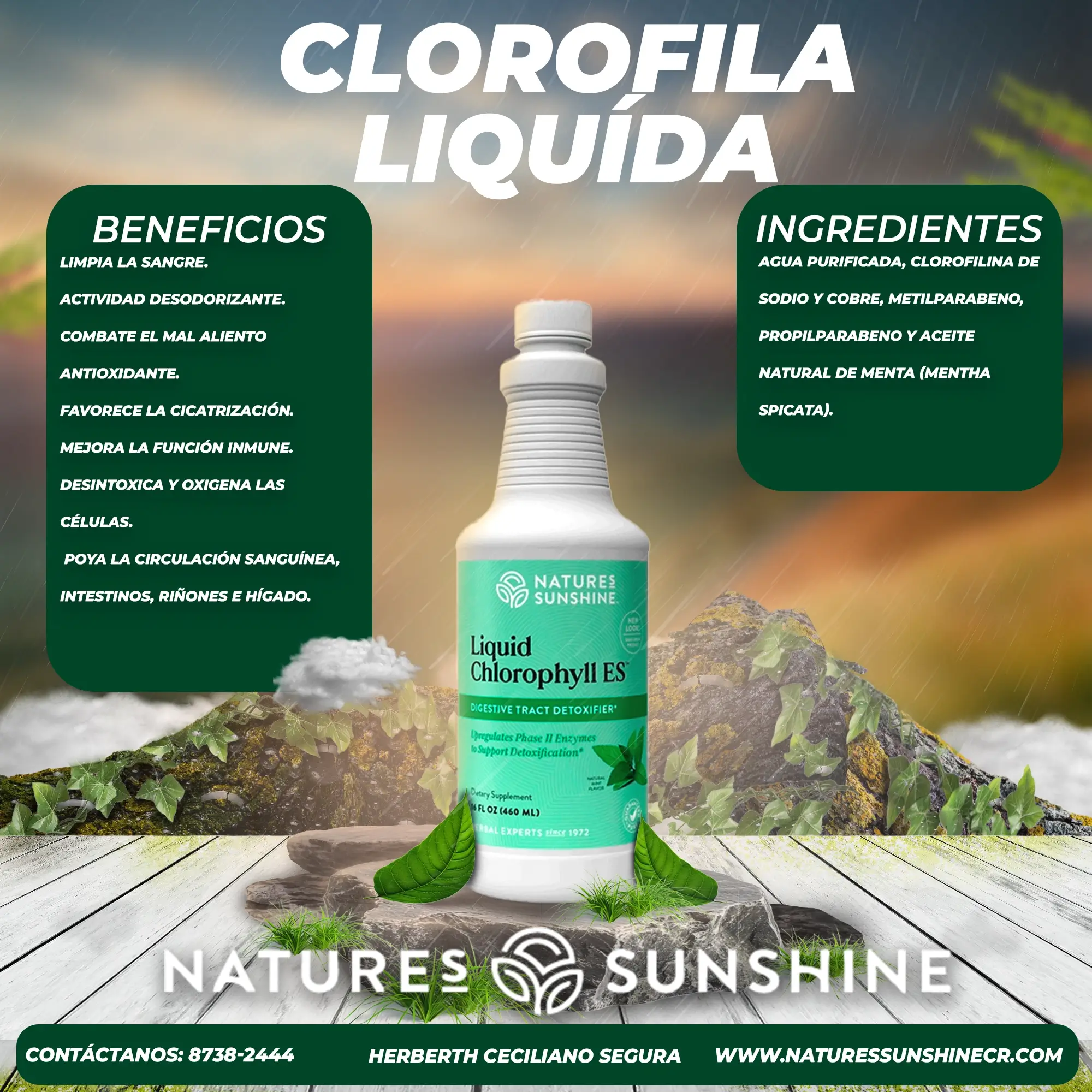 Clorofila Líquida - Image 2