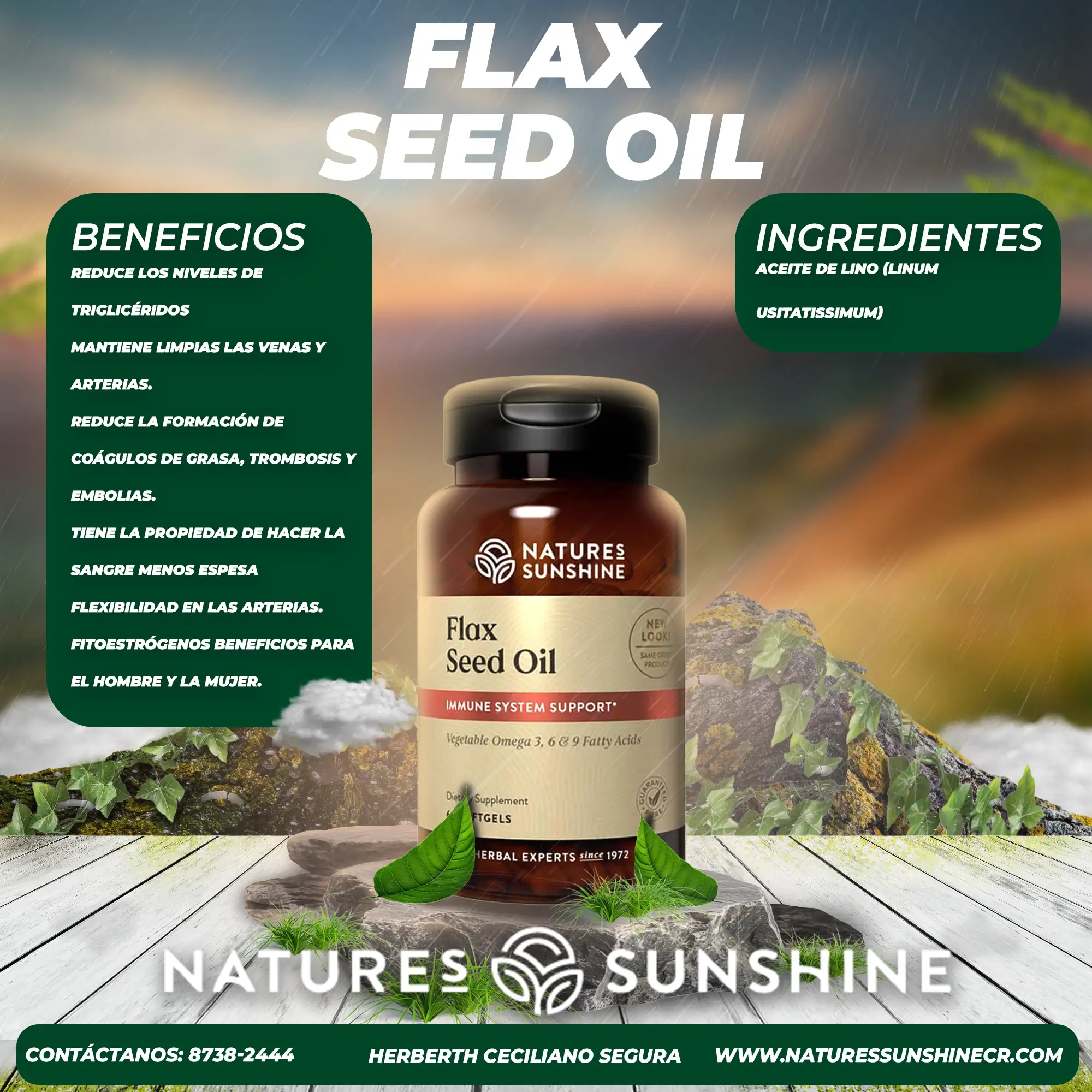 Flax Seed Oil - Image 2