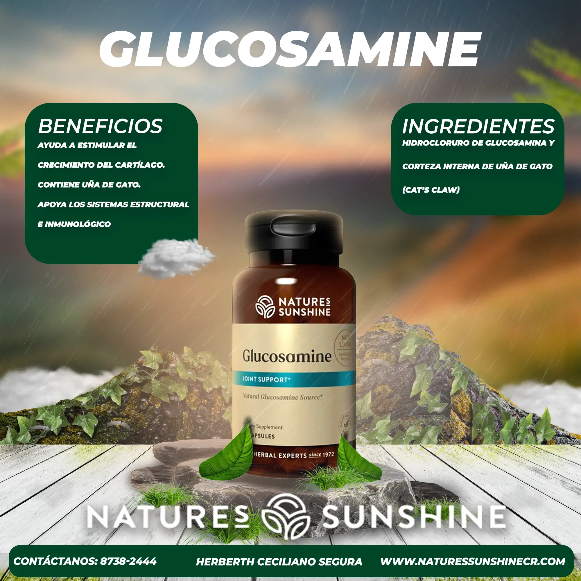 Glucosamine - Image 2
