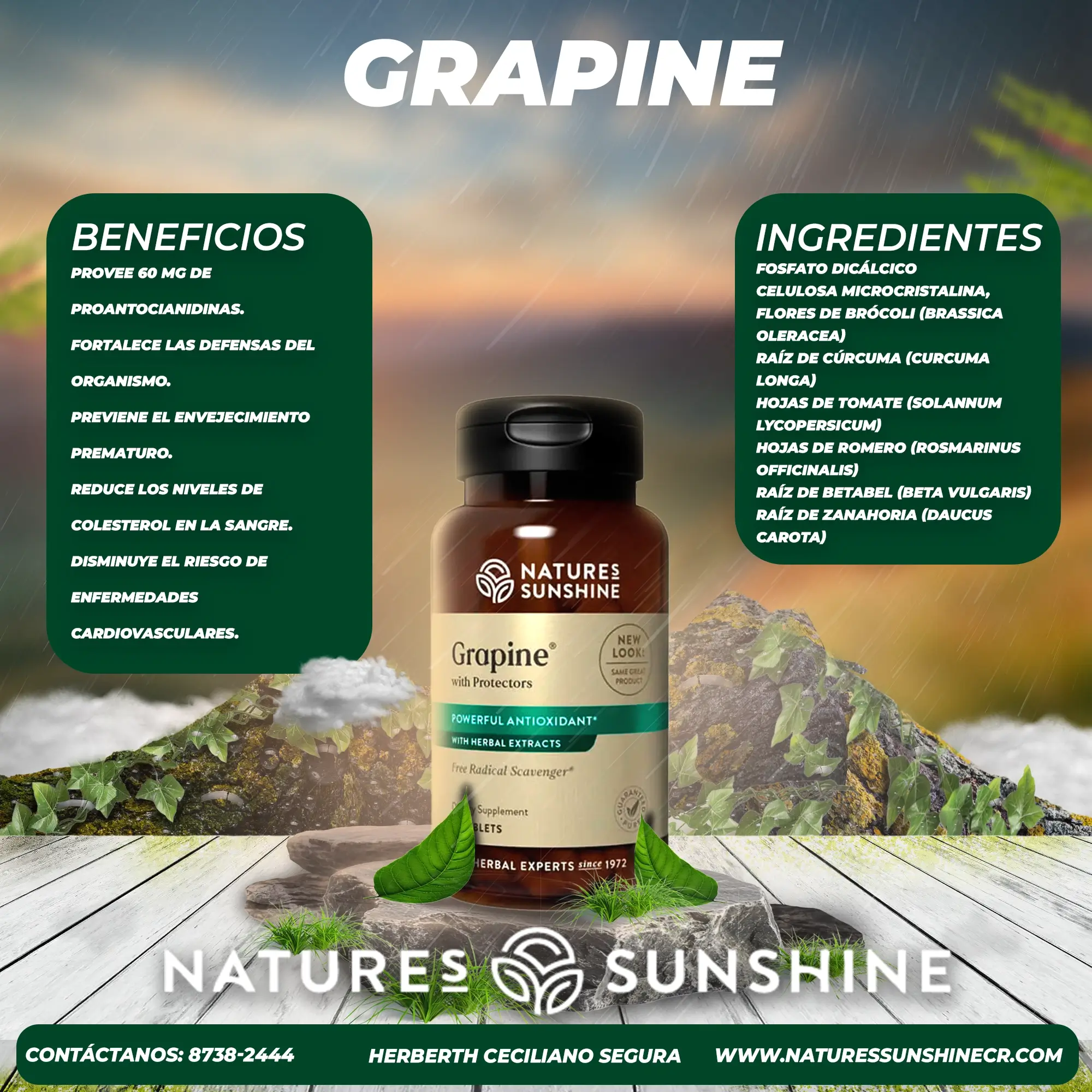 Grapine With Protectors - Image 2