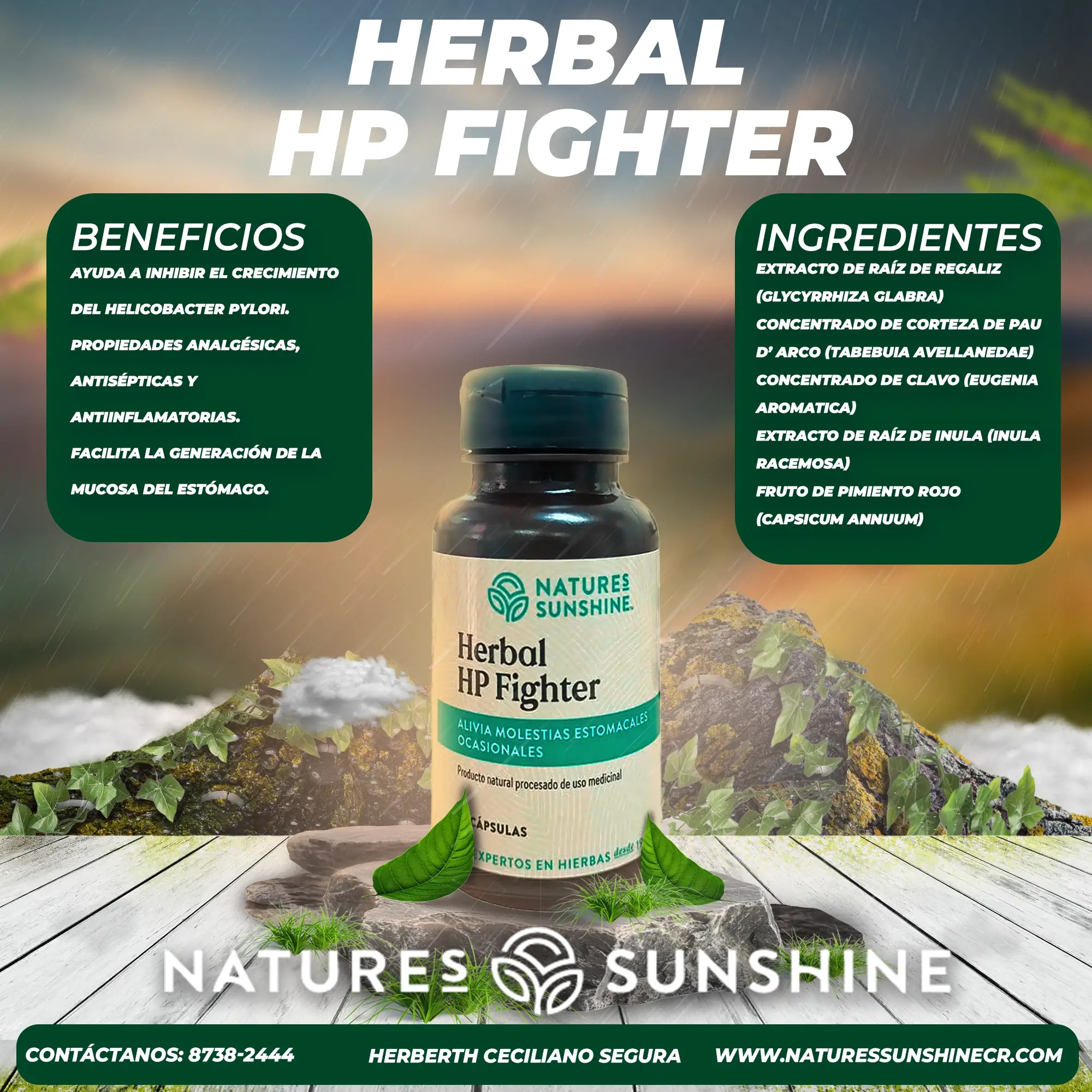 Herbal Hp Fighter - Image 2
