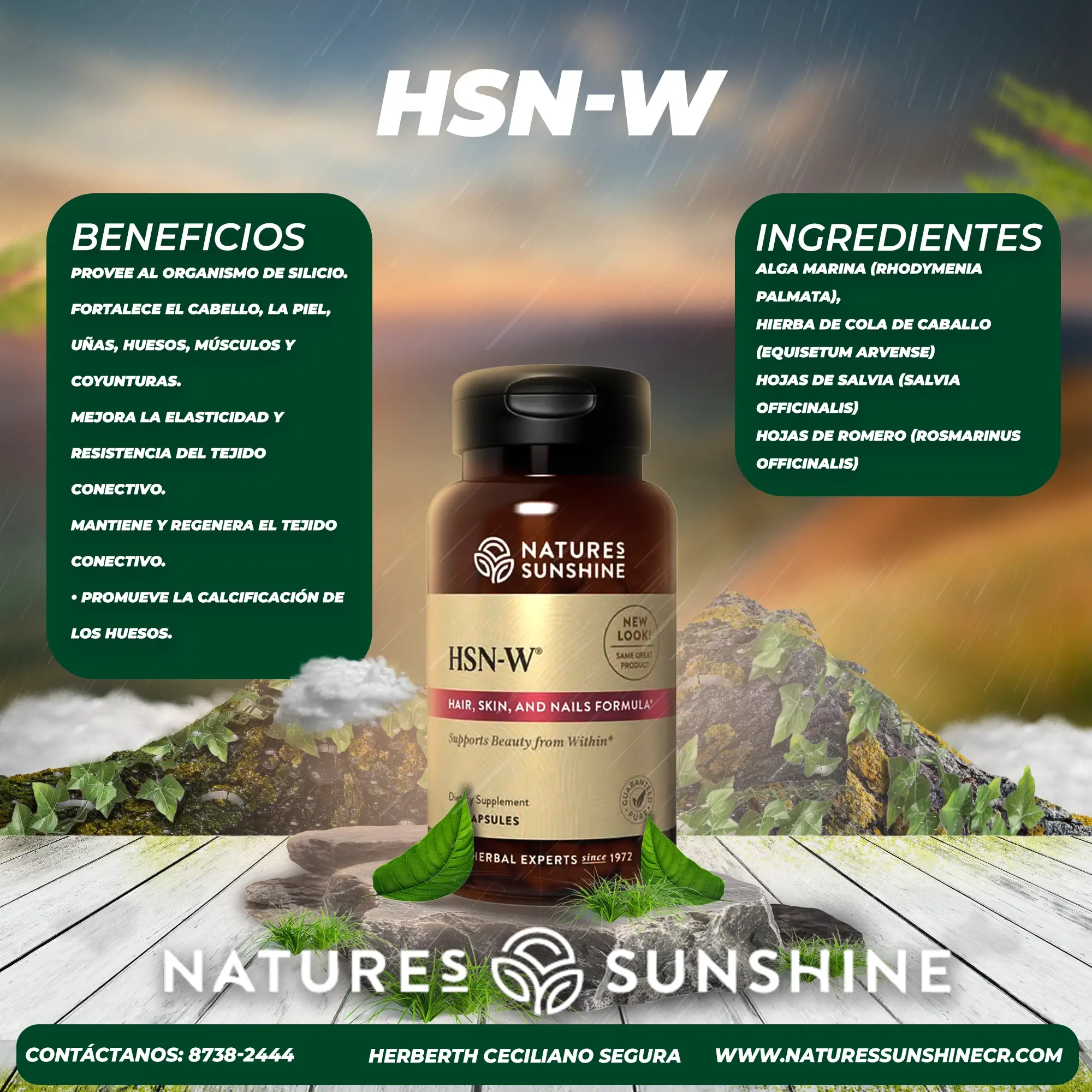 Hsn-W - Image 2