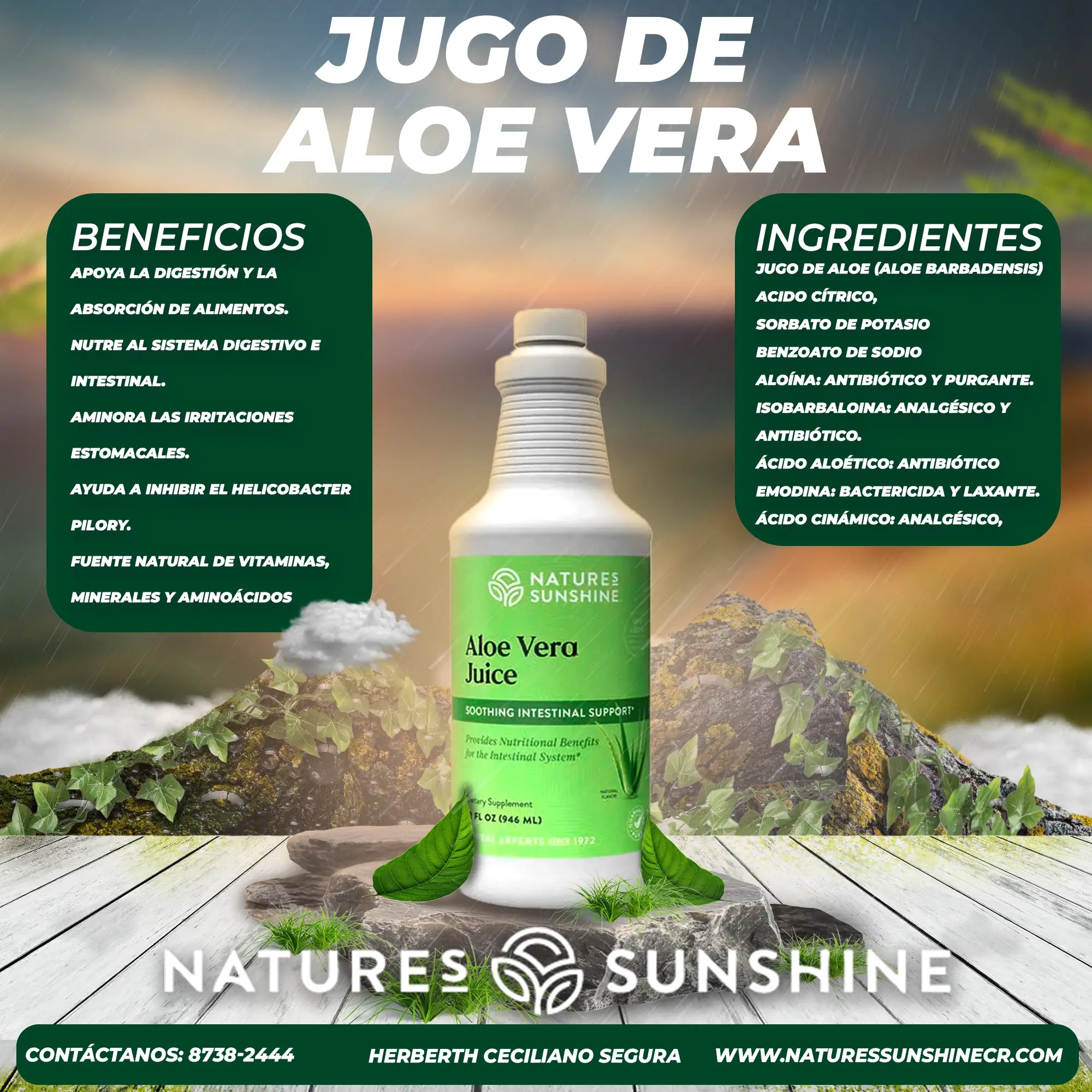 Jugo de Aloe Vera - Image 2