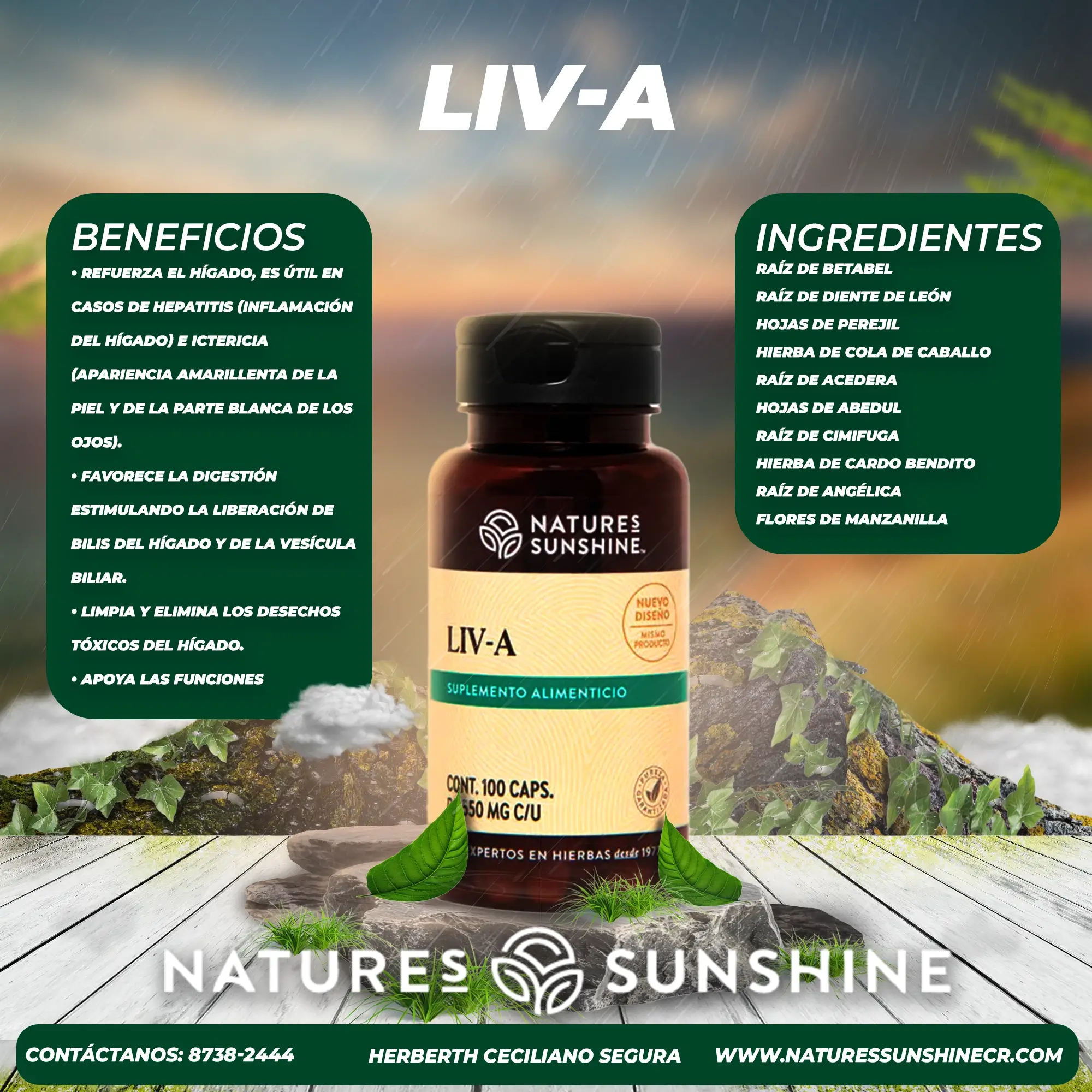 Liv-A - Image 2