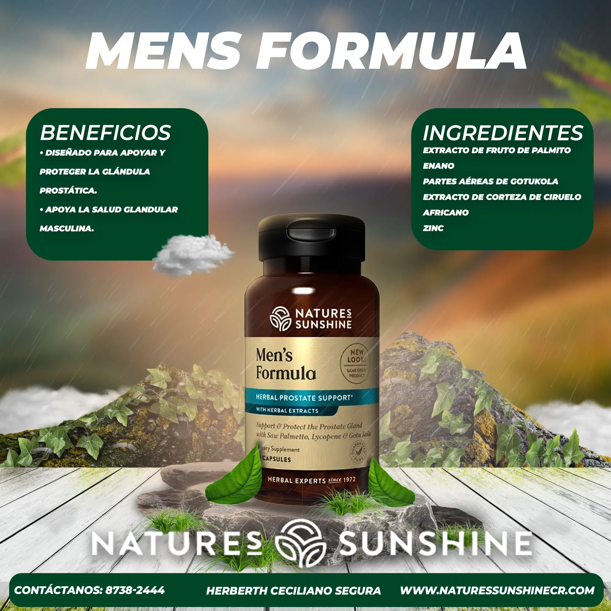 Mens Formula - Image 2