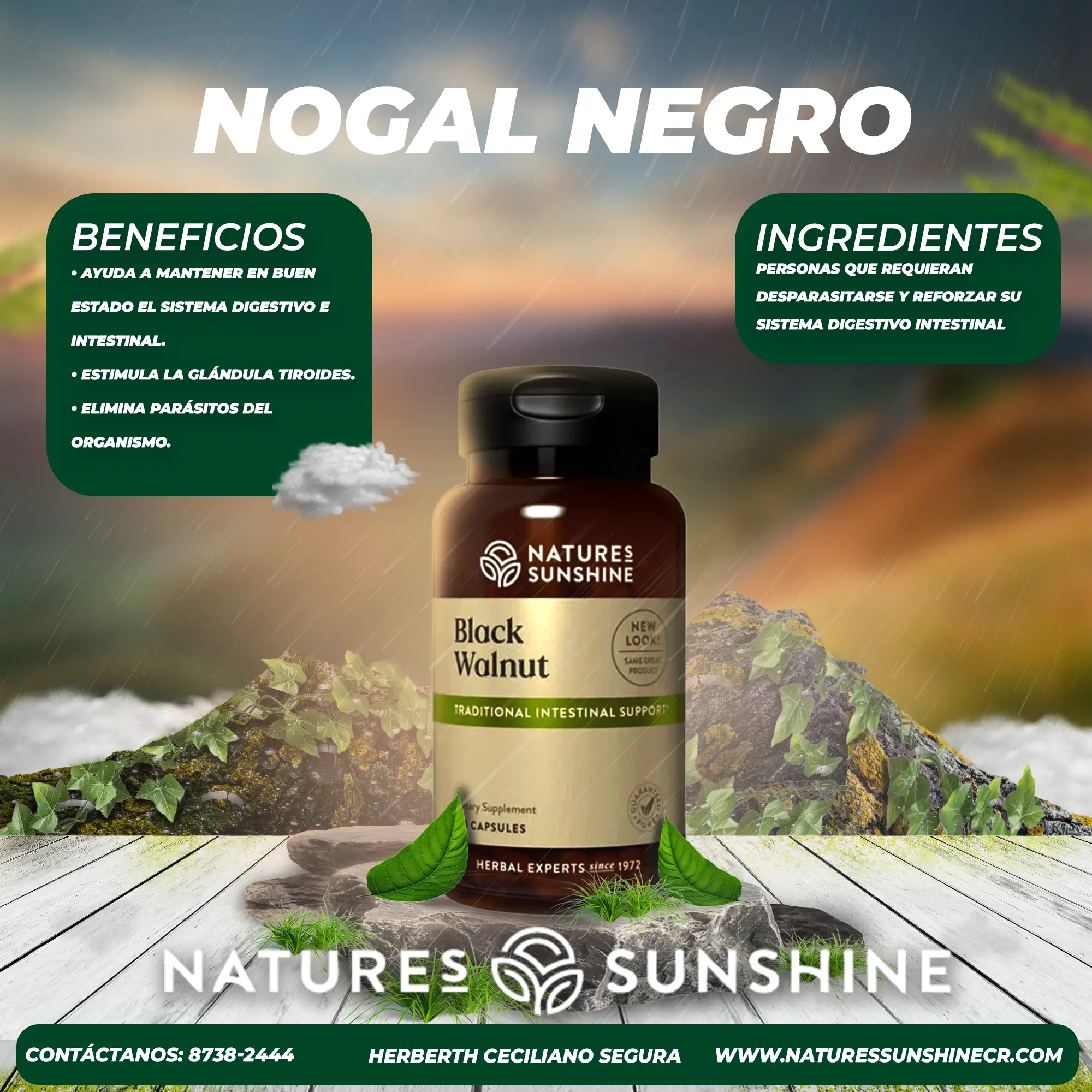 Nogal Negro - Image 2