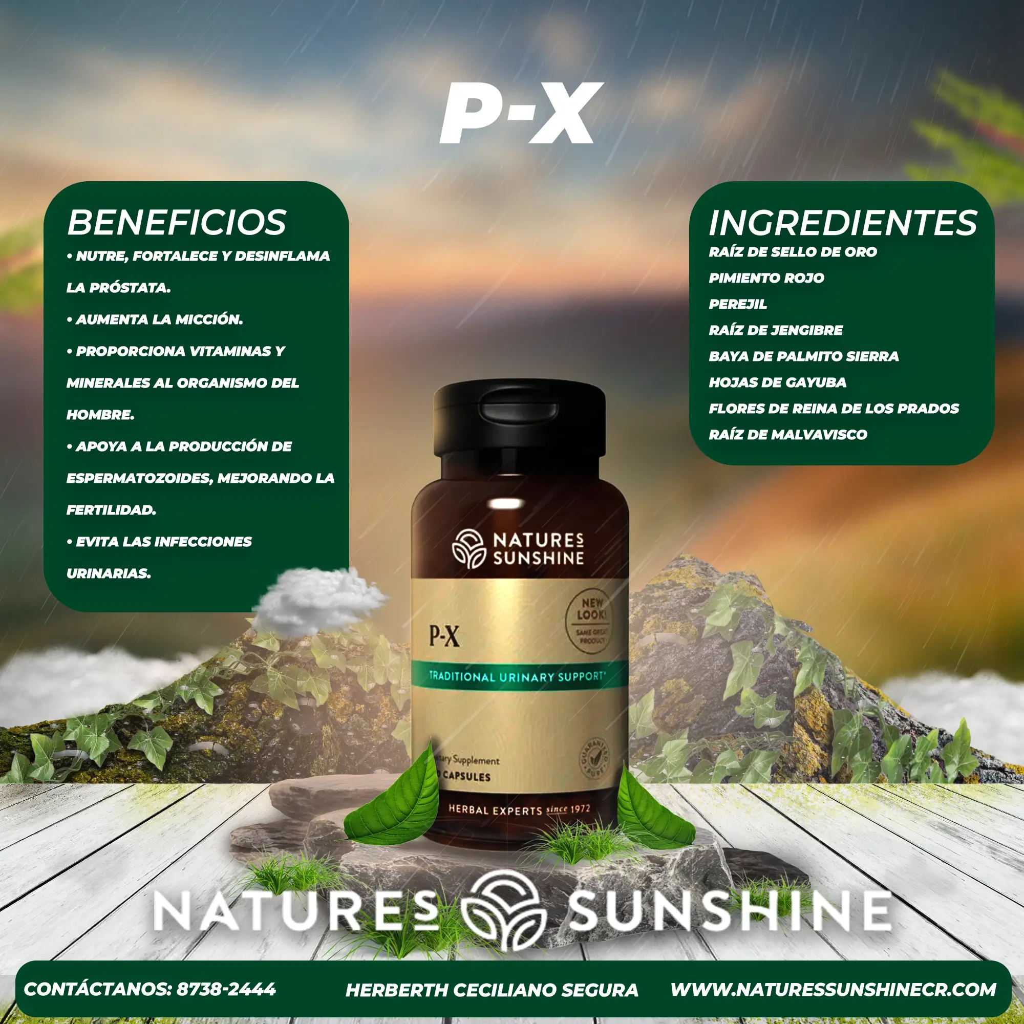P-X - Image 2