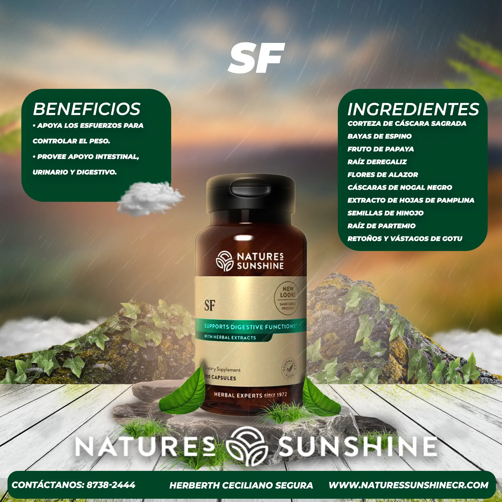 SF - Image 2