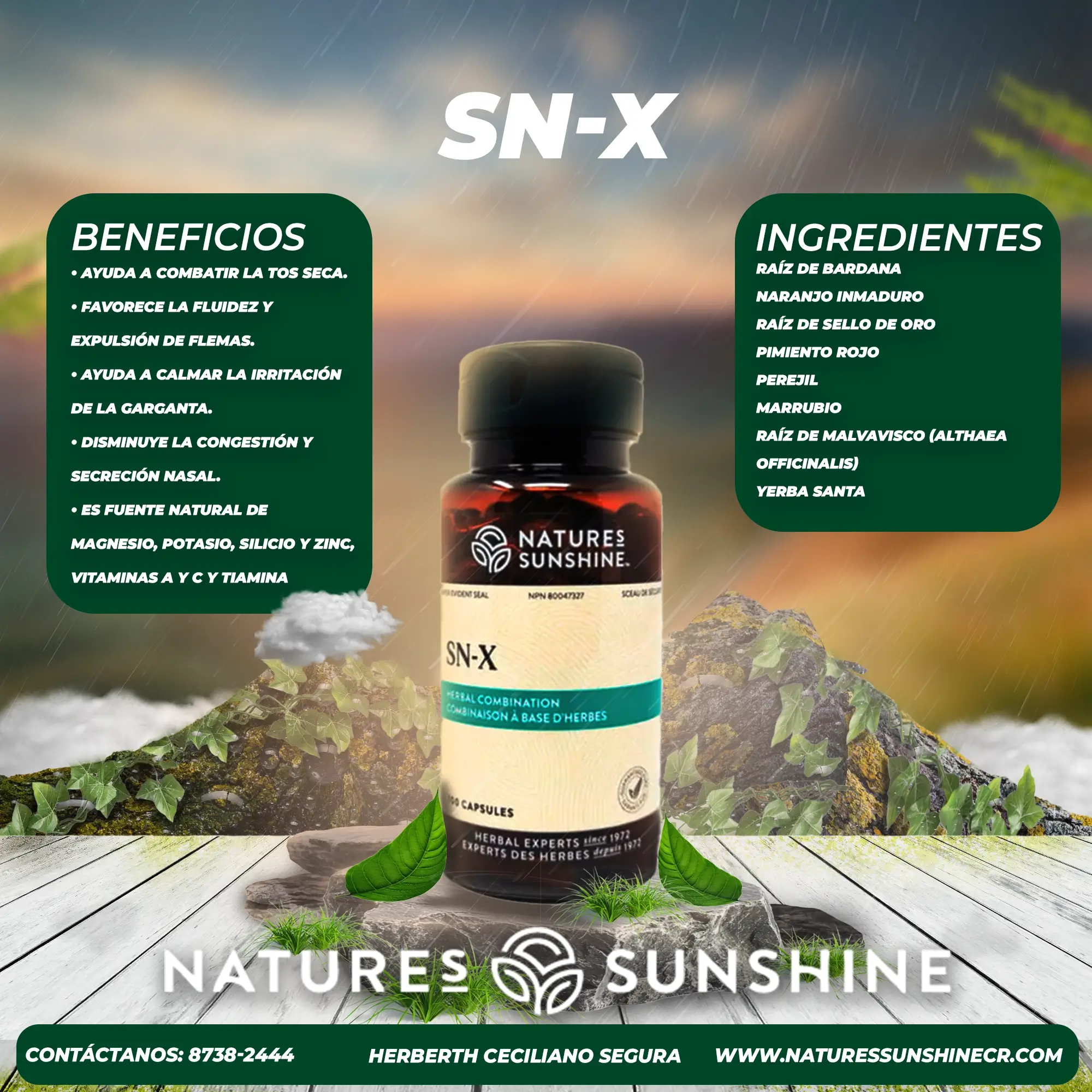 SN-X - Image 2