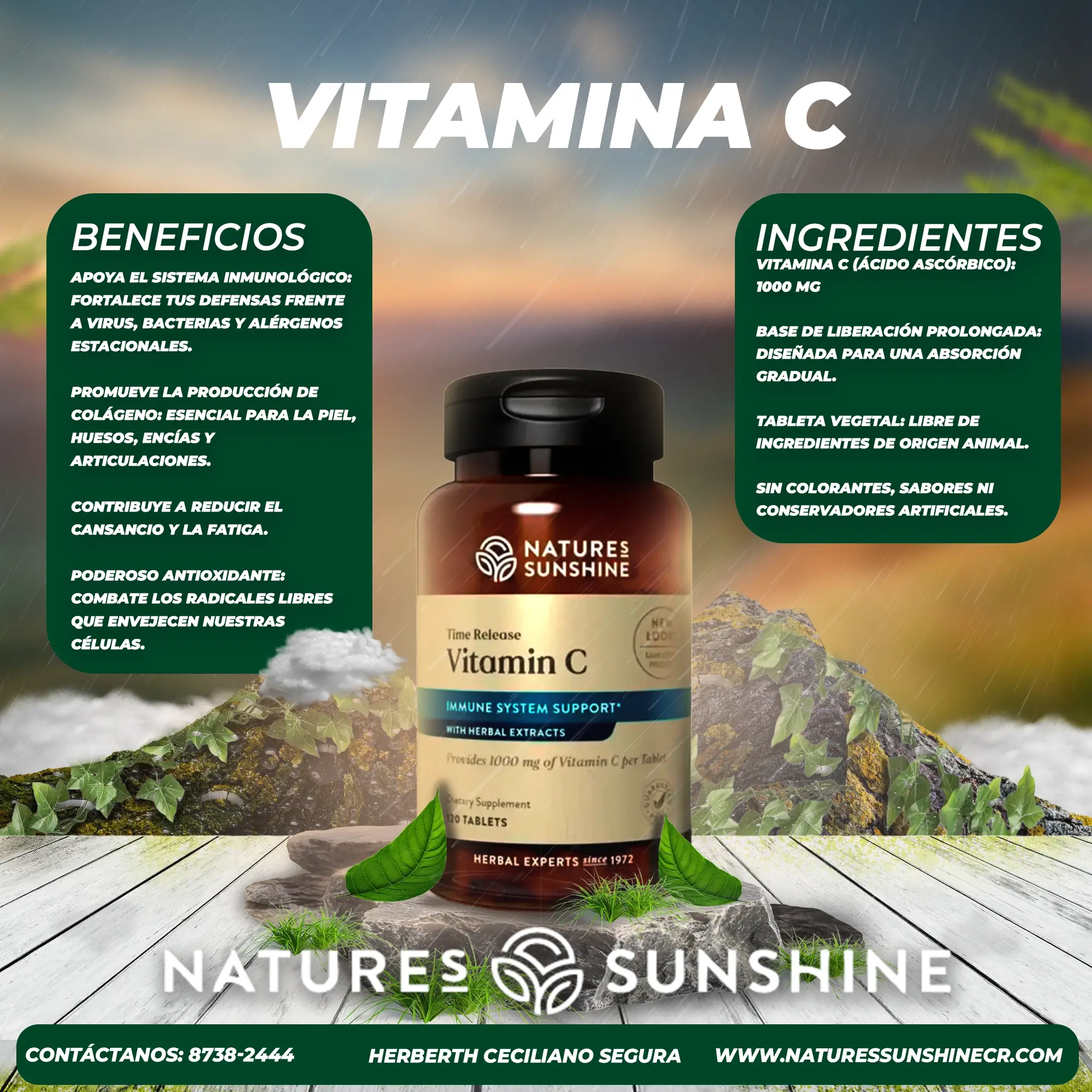 Vitamina C - Image 2